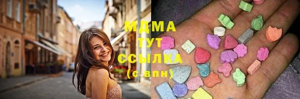 индика Тында