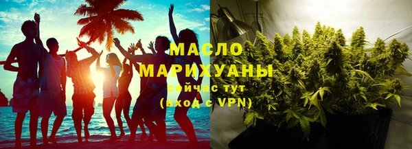 индика Тында