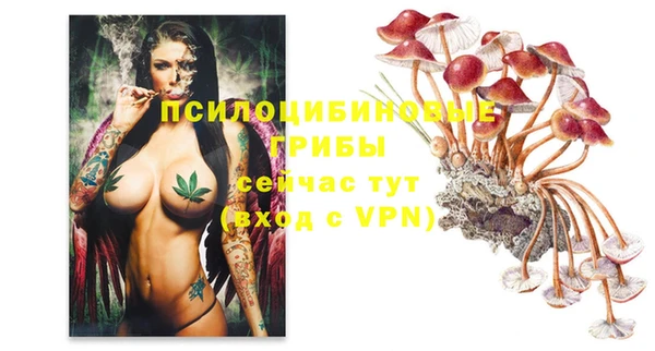 индика Тында