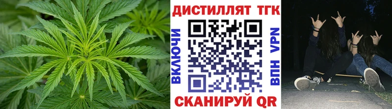 ТГК вейп  где продают наркотики  Новая Ладога 